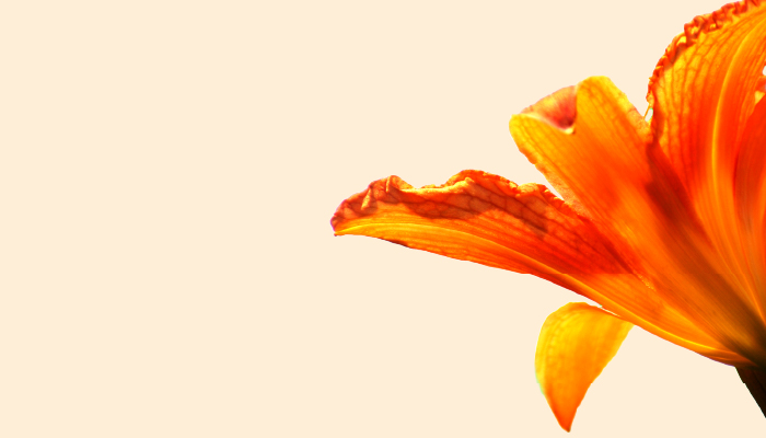 Klassische Gesichtsbehandlung